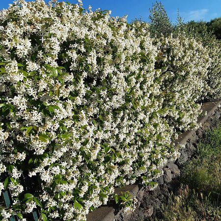 B&B Etna Ranch П'єдімонте-Етнео Екстер'єр фото